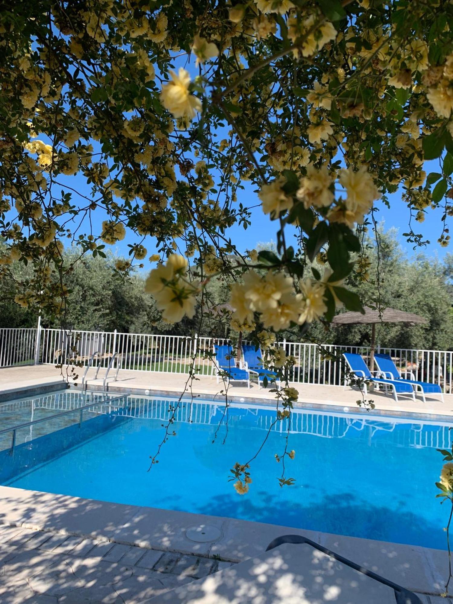 Casa De La Noria Villa Carcabuey Dış mekan fotoğraf